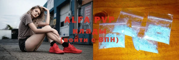 spice Алзамай