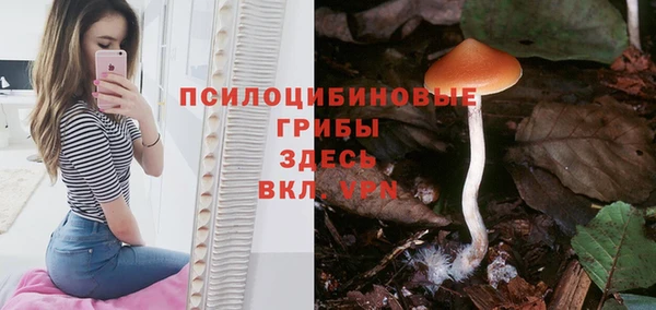 стафф Алексеевка