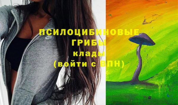 стафф Алексеевка